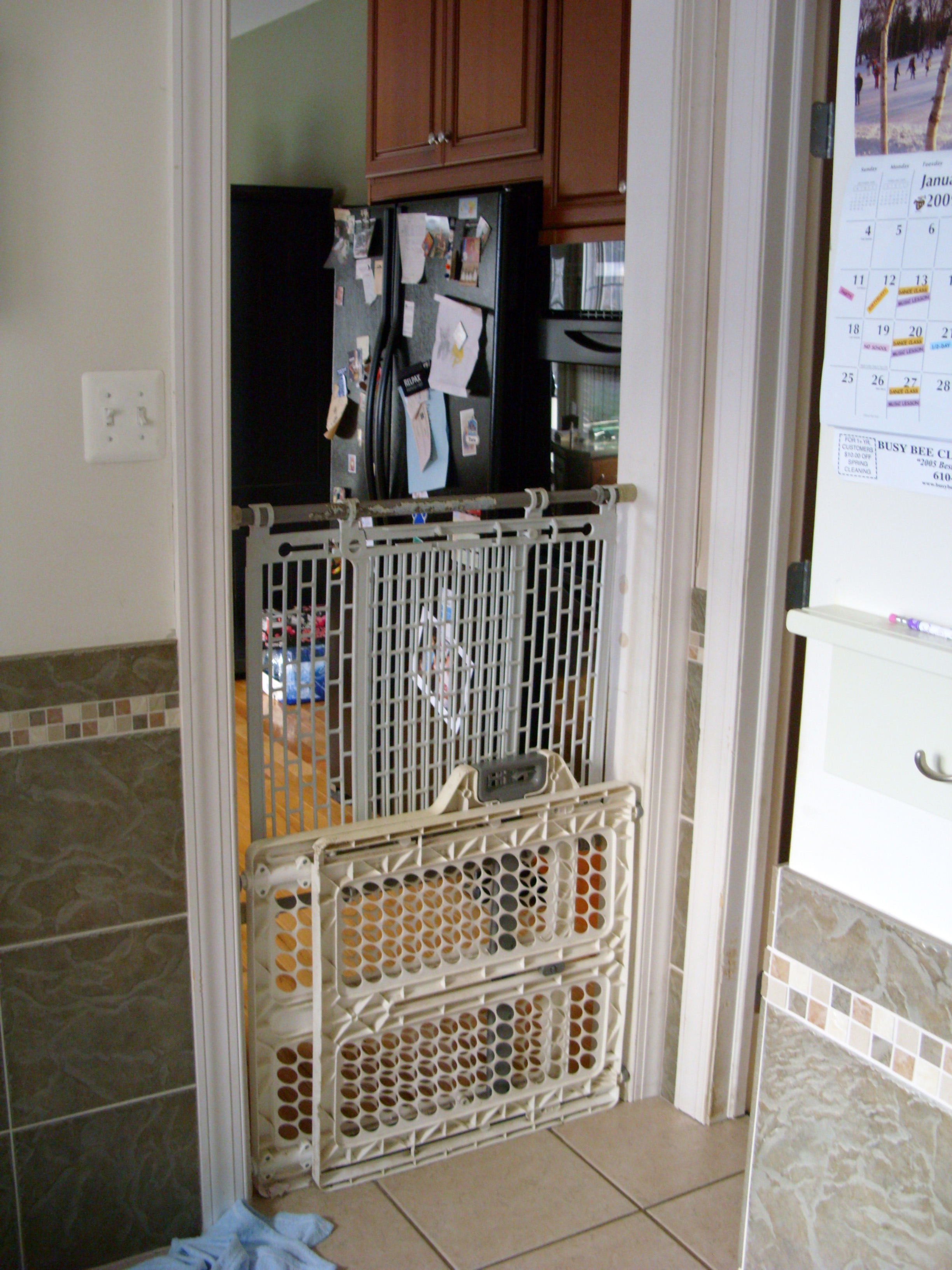 dogdoornew3.JPG