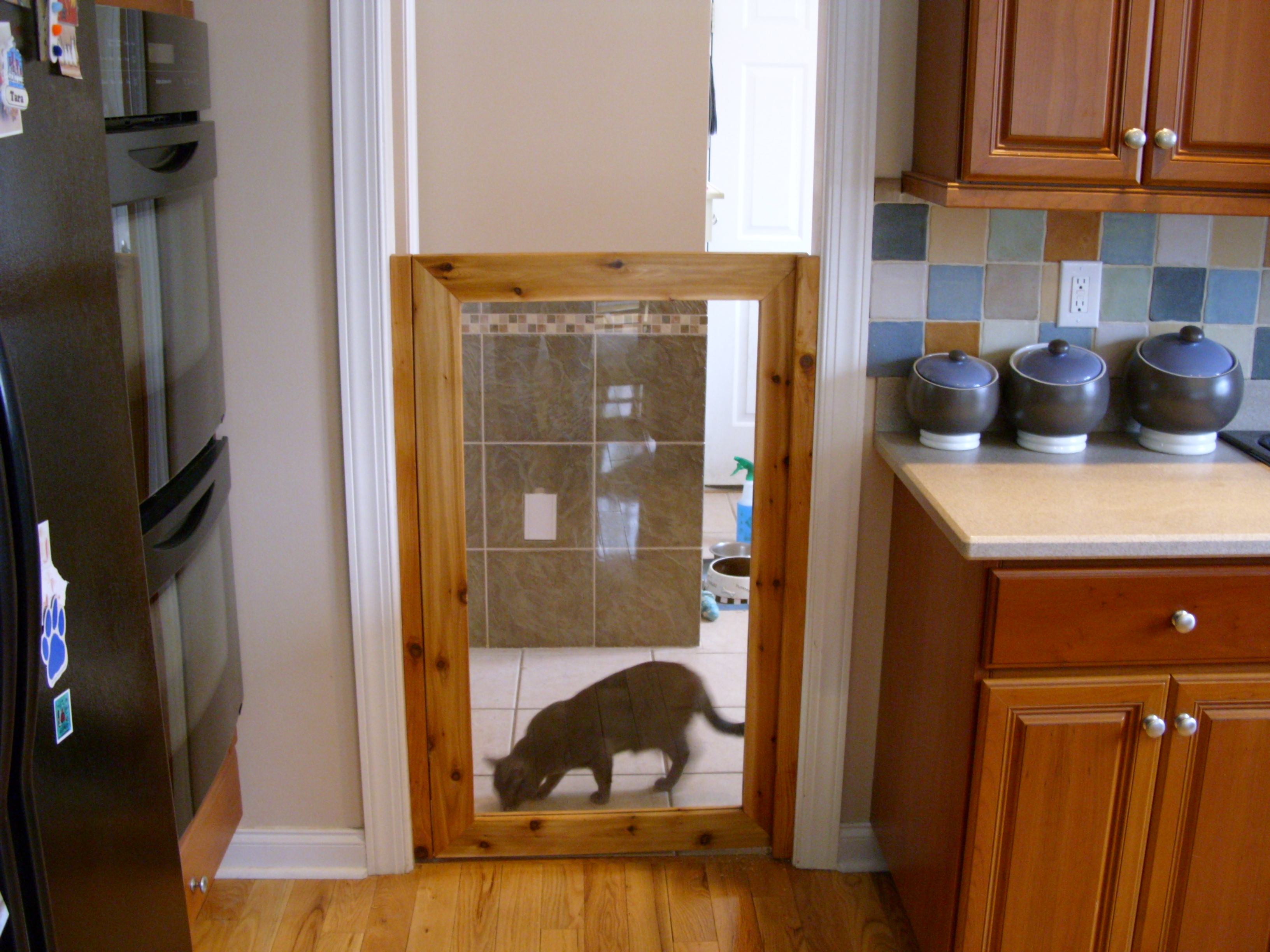 dogdoornew3.JPG